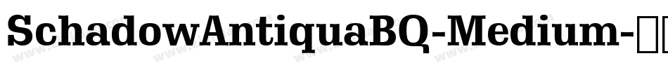 SchadowAntiquaBQ-Medium字体转换