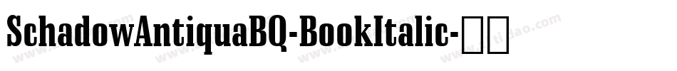 SchadowAntiquaBQ-BookItalic字体转换