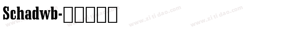 Schadwb字体转换
