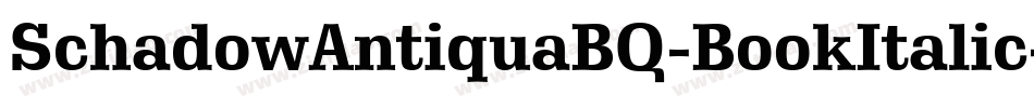 SchadowAntiquaBQ-BookItalic字体转换