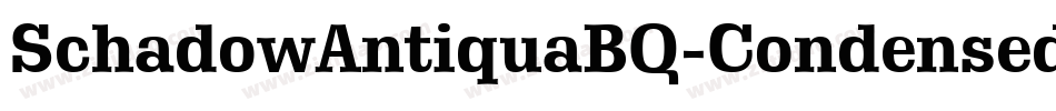 SchadowAntiquaBQ-CondensedBold字体转换