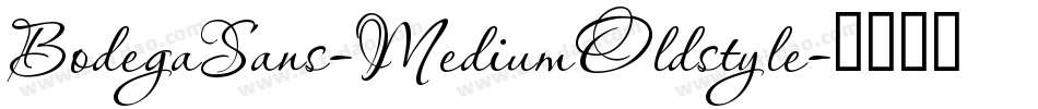 BodegaSans-MediumOldstyle字体转换
