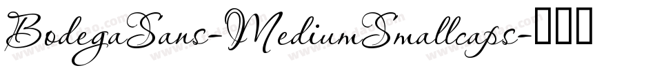 BodegaSans-MediumSmallcaps字体转换