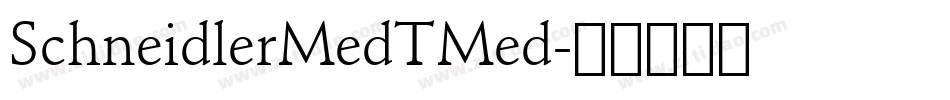 SchneidlerMedTMed字体转换