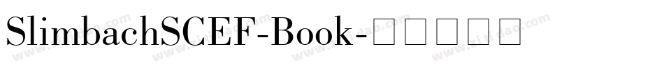 SlimbachSCEF-Book字体转换