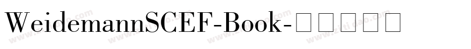 WeidemannSCEF-Book字体转换