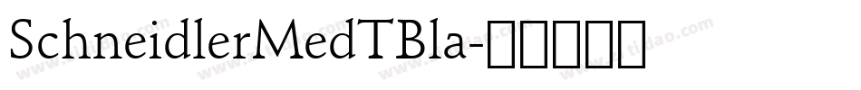 SchneidlerMedTBla字体转换