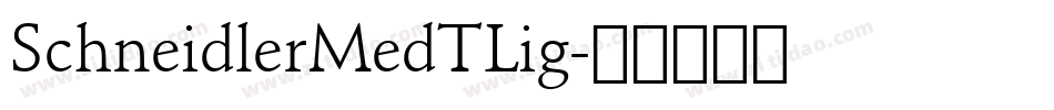 SchneidlerMedTLig字体转换