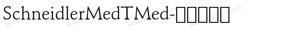 SchneidlerMedTMed字体转换