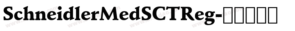 SchneidlerMedSCTReg字体转换