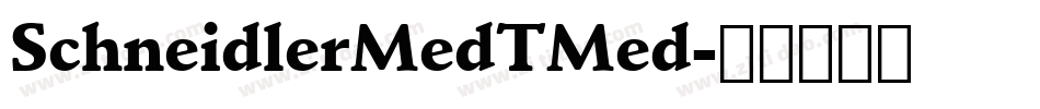 SchneidlerMedTMed字体转换