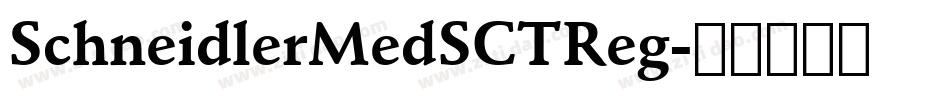 SchneidlerMedSCTReg字体转换