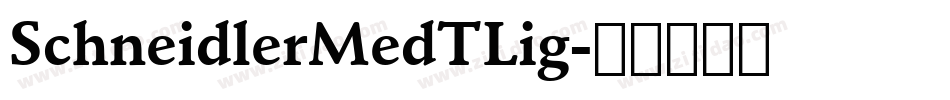 SchneidlerMedTLig字体转换