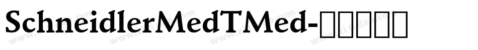 SchneidlerMedTMed字体转换
