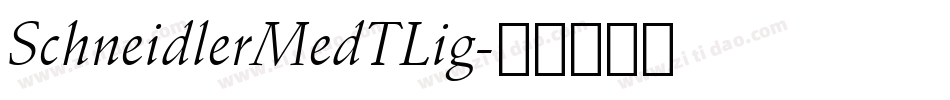 SchneidlerMedTLig字体转换