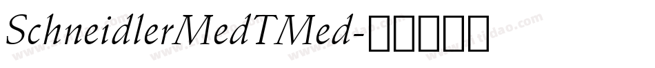 SchneidlerMedTMed字体转换