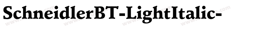 SchneidlerBT-LightItalic字体转换