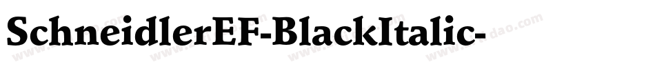 SchneidlerEF-BlackItalic字体转换
