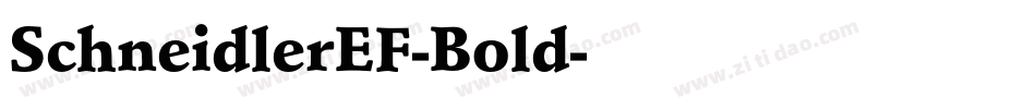 SchneidlerEF-Bold字体转换