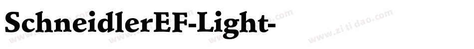 SchneidlerEF-Light字体转换