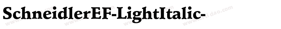 SchneidlerEF-LightItalic字体转换