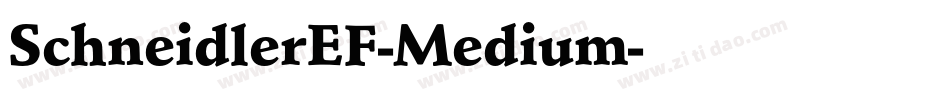 SchneidlerEF-Medium字体转换