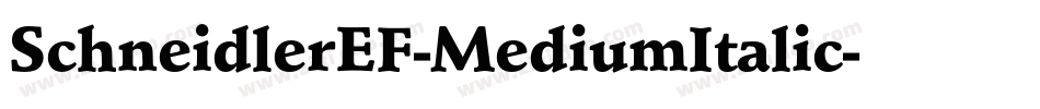 SchneidlerEF-MediumItalic字体转换