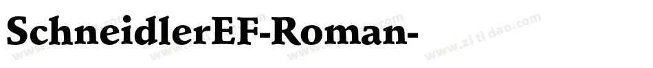 SchneidlerEF-Roman字体转换