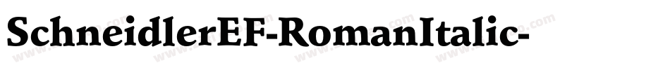 SchneidlerEF-RomanItalic字体转换