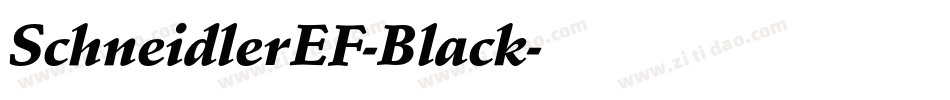 SchneidlerEF-Black字体转换