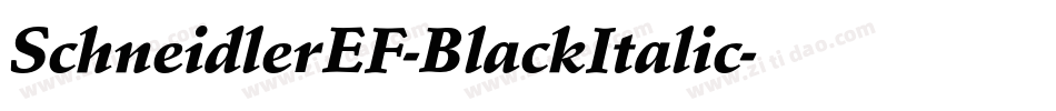 SchneidlerEF-BlackItalic字体转换