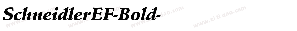 SchneidlerEF-Bold字体转换