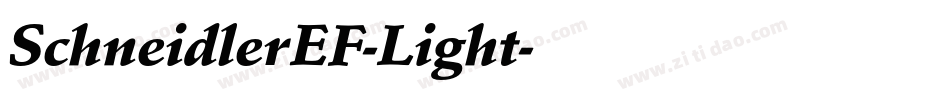 SchneidlerEF-Light字体转换