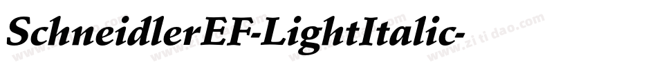 SchneidlerEF-LightItalic字体转换