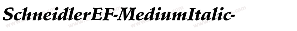 SchneidlerEF-MediumItalic字体转换