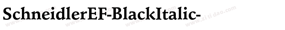 SchneidlerEF-BlackItalic字体转换