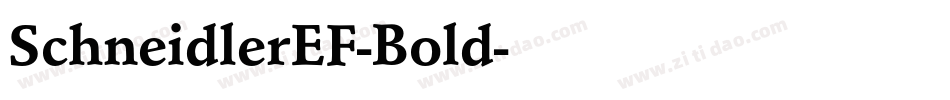 SchneidlerEF-Bold字体转换