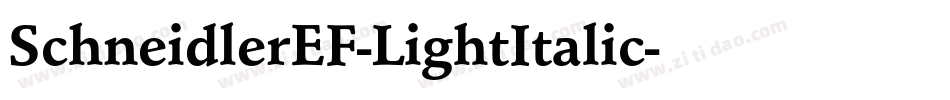 SchneidlerEF-LightItalic字体转换