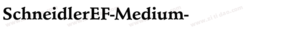 SchneidlerEF-Medium字体转换