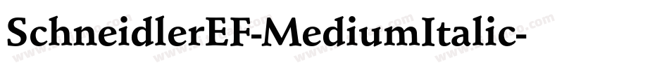 SchneidlerEF-MediumItalic字体转换