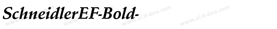 SchneidlerEF-Bold字体转换