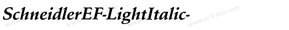 SchneidlerEF-LightItalic字体转换