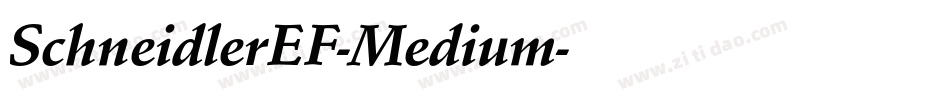 SchneidlerEF-Medium字体转换
