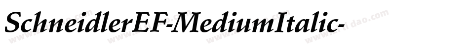 SchneidlerEF-MediumItalic字体转换