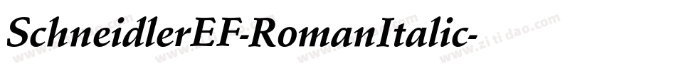 SchneidlerEF-RomanItalic字体转换