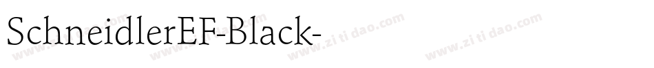 SchneidlerEF-Black字体转换