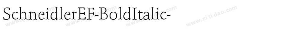 SchneidlerEF-BoldItalic字体转换