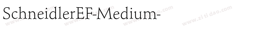 SchneidlerEF-Medium字体转换