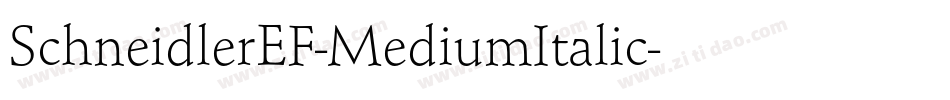 SchneidlerEF-MediumItalic字体转换