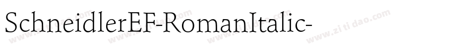 SchneidlerEF-RomanItalic字体转换